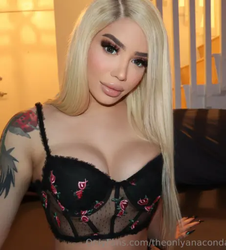 Image 18068241 from theonlyanaconda