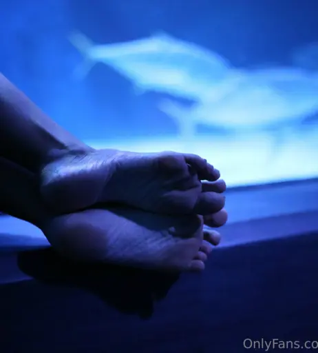Image 18067068 from eurasian_feet