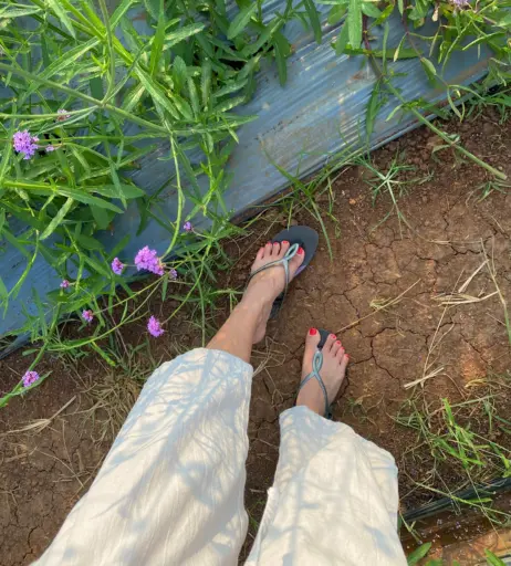 Image 18066659 from eurasian_feet
