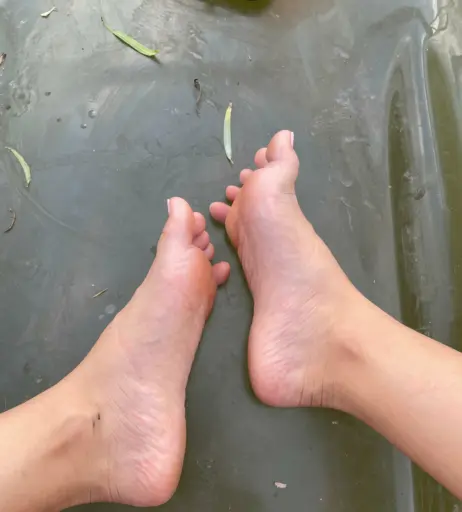 Image 18071442 from eurasian_feet