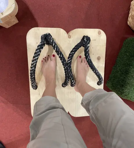 Image 18072761 from eurasian_feet