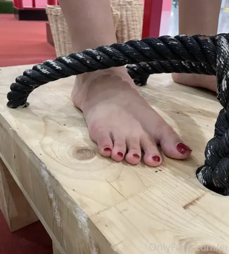 Image 18072676 from eurasian_feet