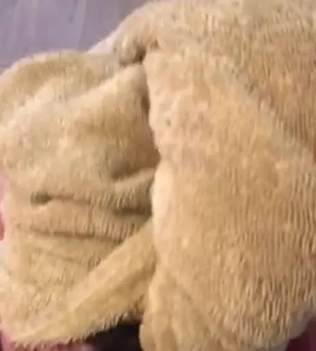 Image 1809871 from Catkitty21