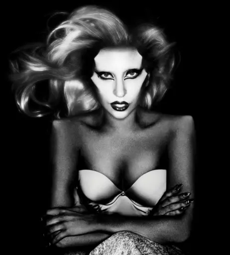 Image 1995370 from Lady Gaga