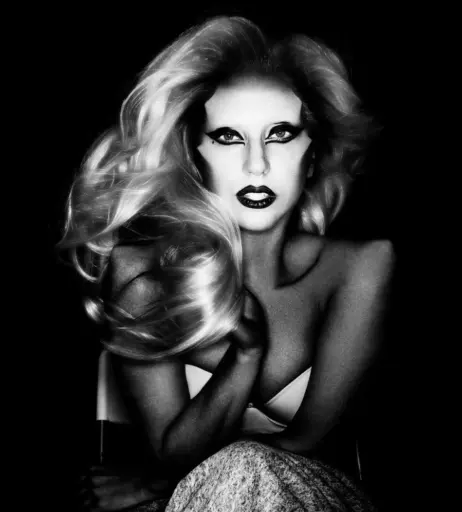 Image 1995311 from Lady Gaga