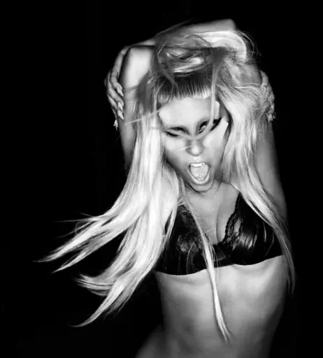 Image 1994730 from Lady Gaga