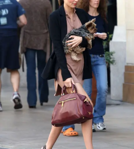 Image 1994193 from Miranda Kerr