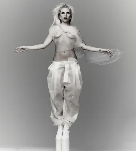 Image 1991857 from Lady Gaga