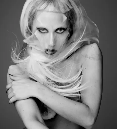 Image 1991750 from Lady Gaga