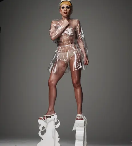 Image 1991631 from Lady Gaga