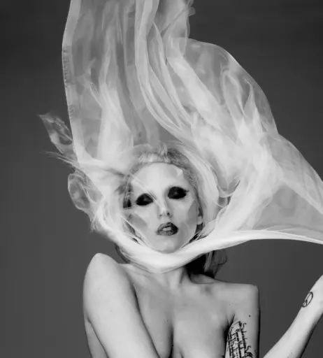 Image 1991941 from Lady Gaga