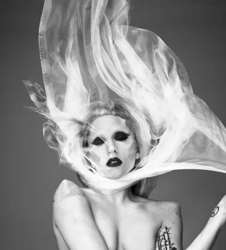 Image 1991972 from Lady Gaga