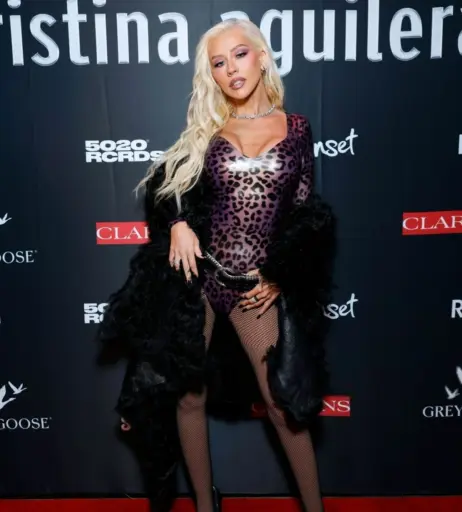 Image 1992752 from Christina Aguilera