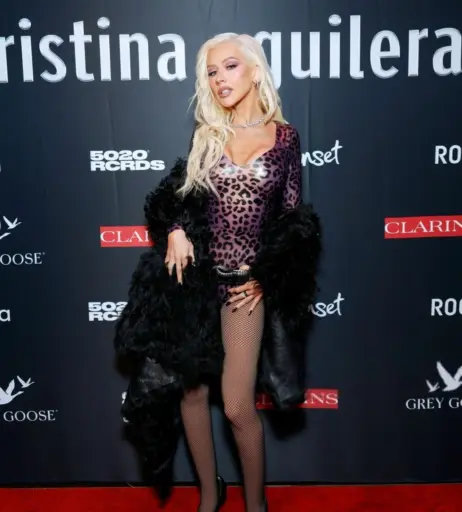 Image 1992609 from Christina Aguilera