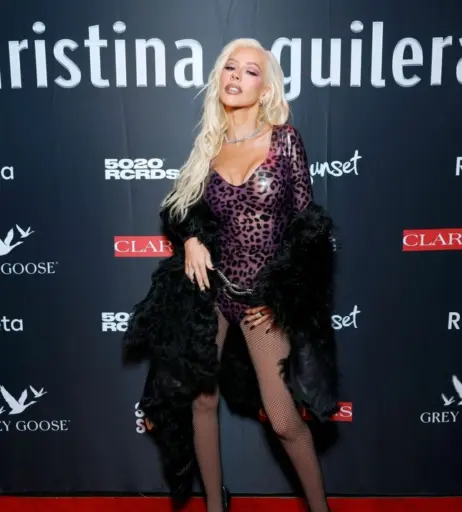 Image 1992630 from Christina Aguilera