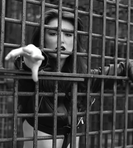 Image 1993583 from Rachel Pizzolato