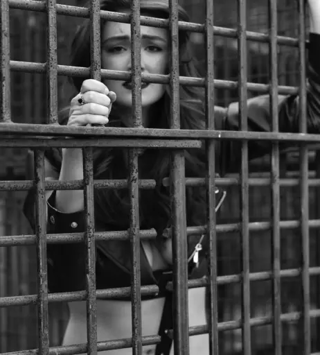 Image 1993688 from Rachel Pizzolato