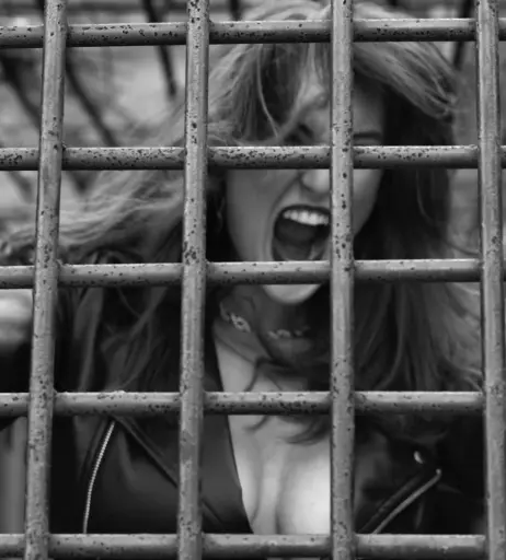 Image 1993628 from Rachel Pizzolato