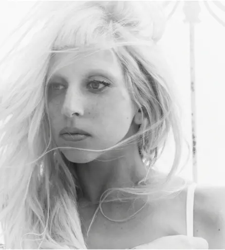 Image 1993119 from Lady Gaga