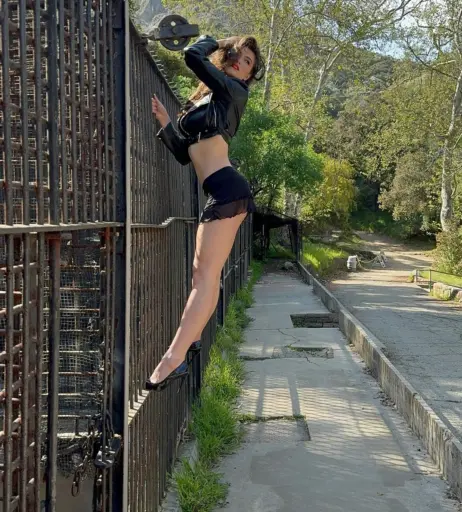 Image 1993072 from Rachel Pizzolato