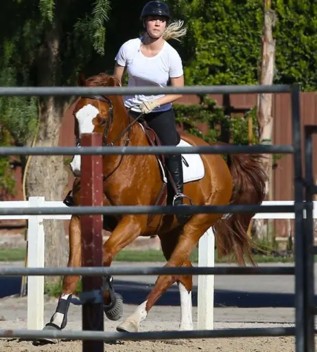 Image 1993254 from Kaley Cuoco