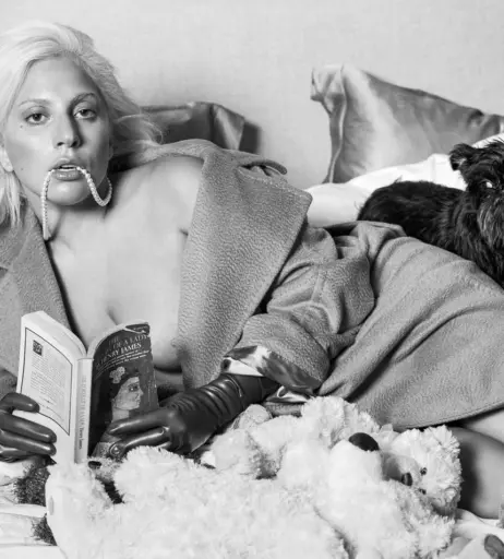 Image 1990627 from Lady Gaga