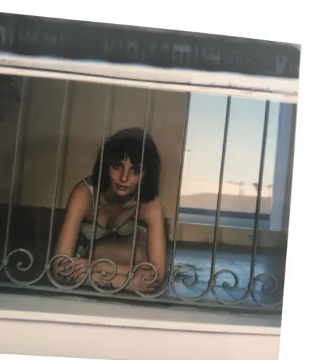 Image 1999062 from Alice Pagani