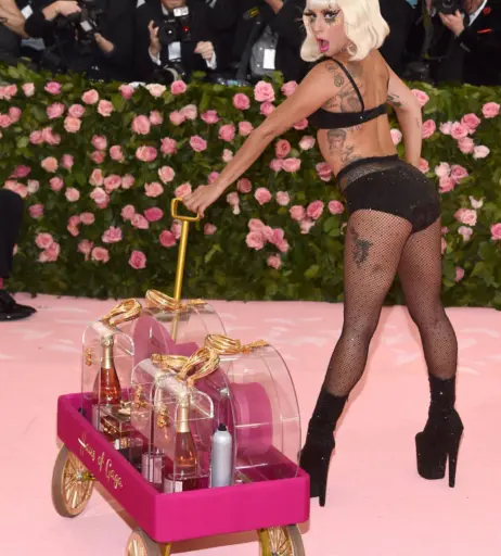 Image 1986769 from Lady Gaga