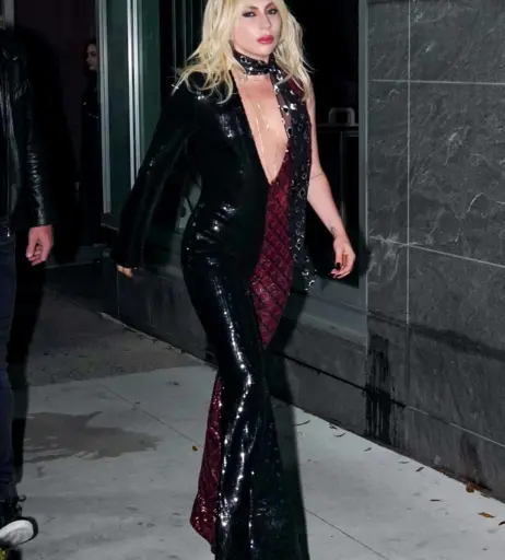 Image 1987441 from Lady Gaga