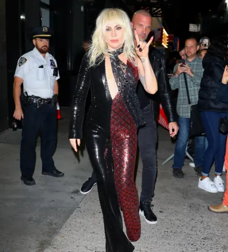 Image 1987773 from Lady Gaga