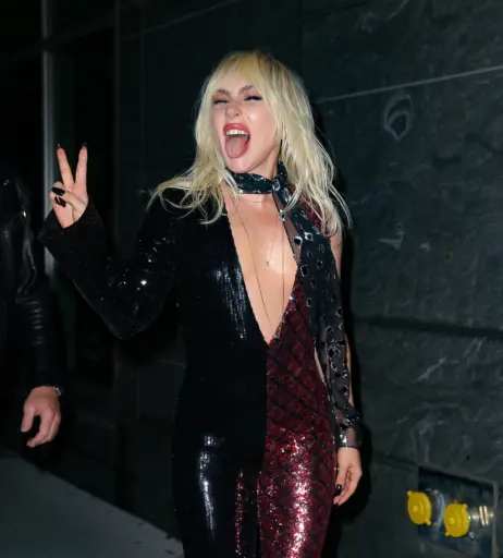 Image 1987608 from Lady Gaga