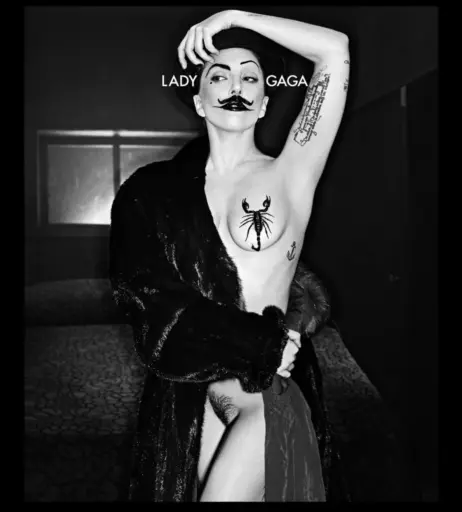 Image 1987071 from Lady Gaga
