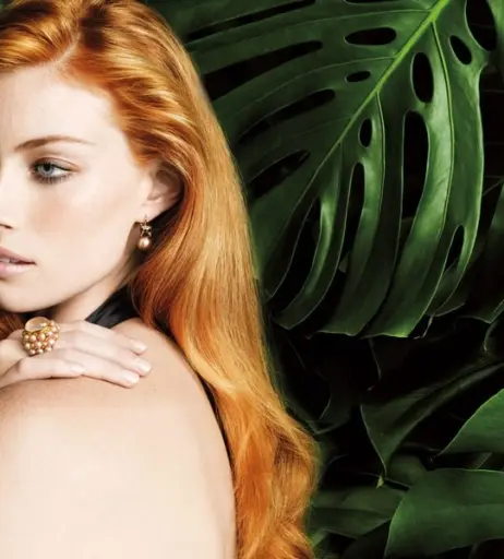 Image 1987268 from Alyssa Sutherland