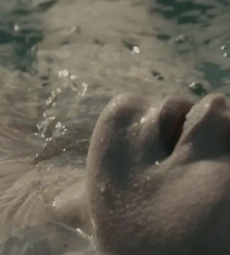 Image 1987217 from Ragga Ragnars