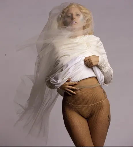Image 1981436 from Lady Gaga