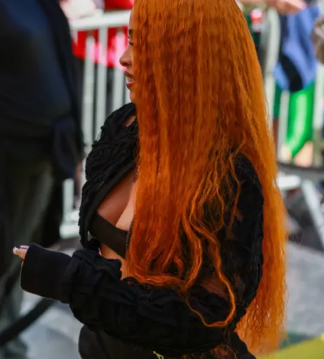 Image 1981772 from Ice Spice