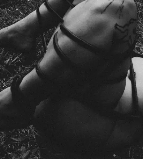 Image 198166 from Saucychilisauce