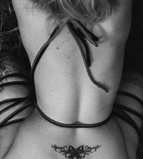 Image 198163 from Saucychilisauce