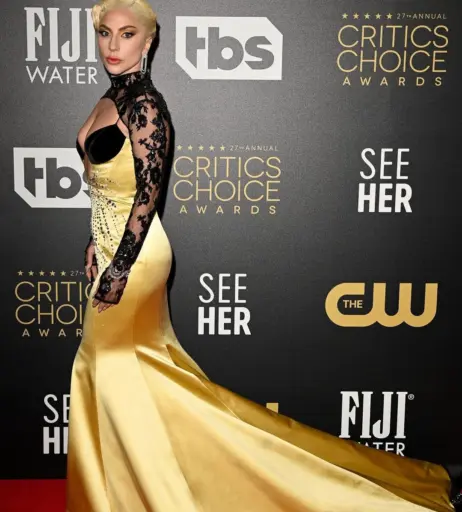 Image 1982545 from Lady Gaga