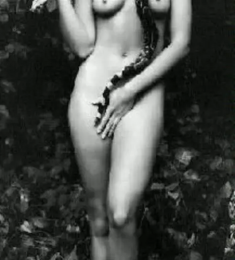 Image 1982040 from Cindy Crawford