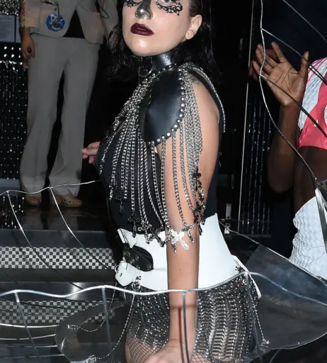 Image 1982934 from Lady Gaga