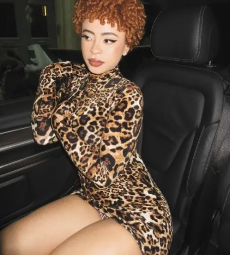 Image 1983516 from Ice Spice