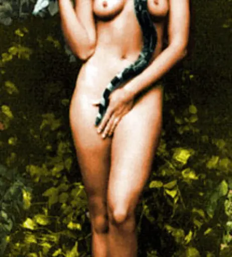 Image 1980429 from Cindy Crawford