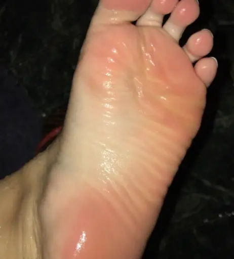 Image 19885862 from melissatavares