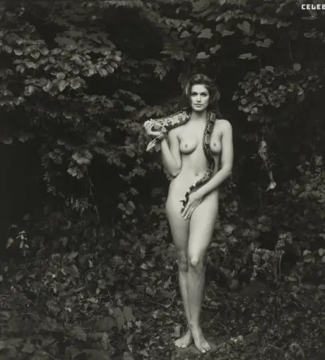 Image 1975109 from Cindy Crawford
