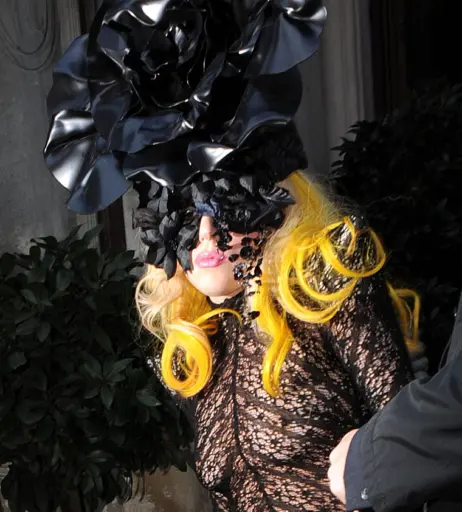 Image 1977851 from Lady Gaga