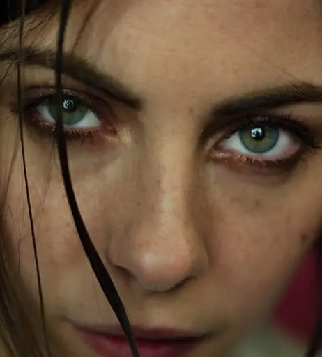 Image 1977186 from Willa Holland