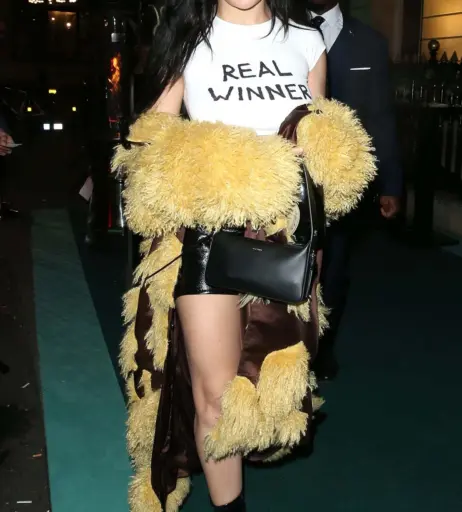 Image 1971345 from Charli XCX