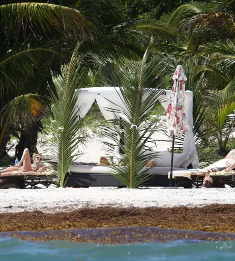 Image 1979196 from Dakota Johnson