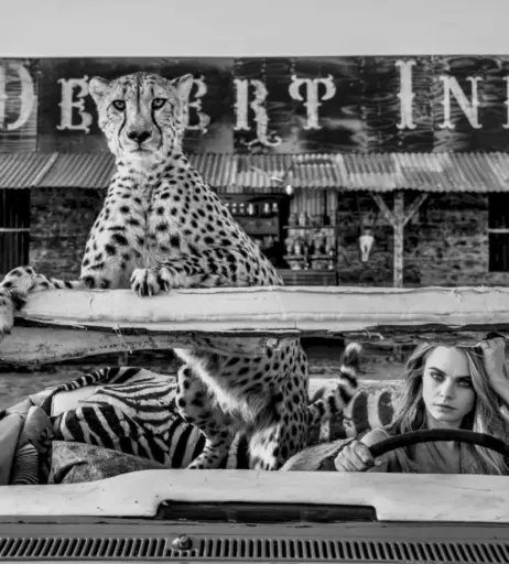 Image 1965707 from Cara Delevingne